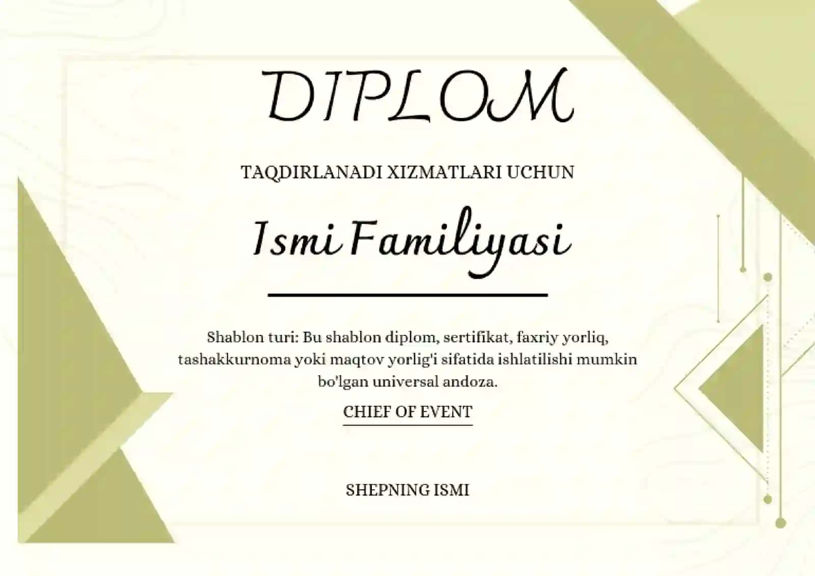 DIPLOM 2