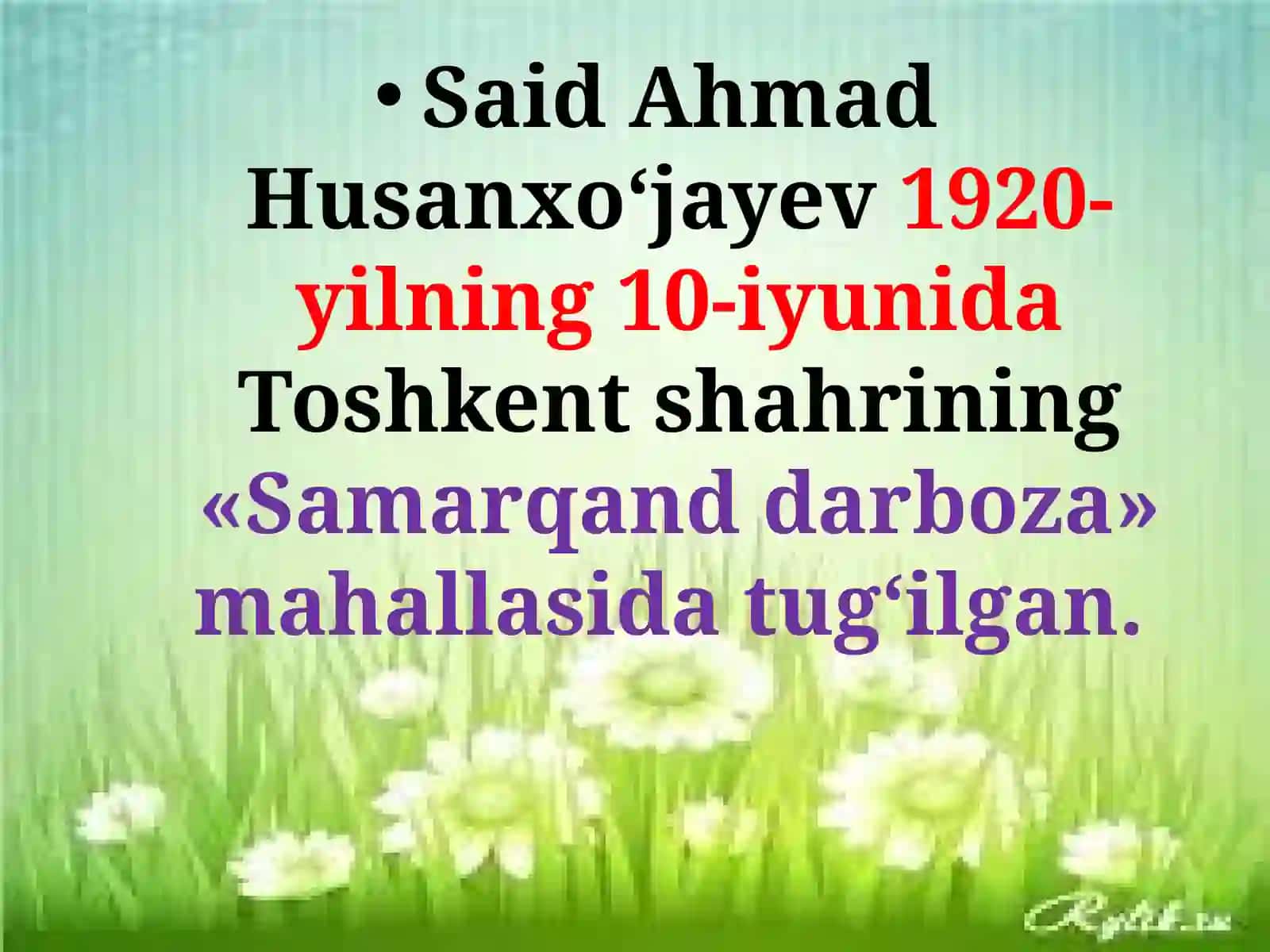 Said Ahmad 2