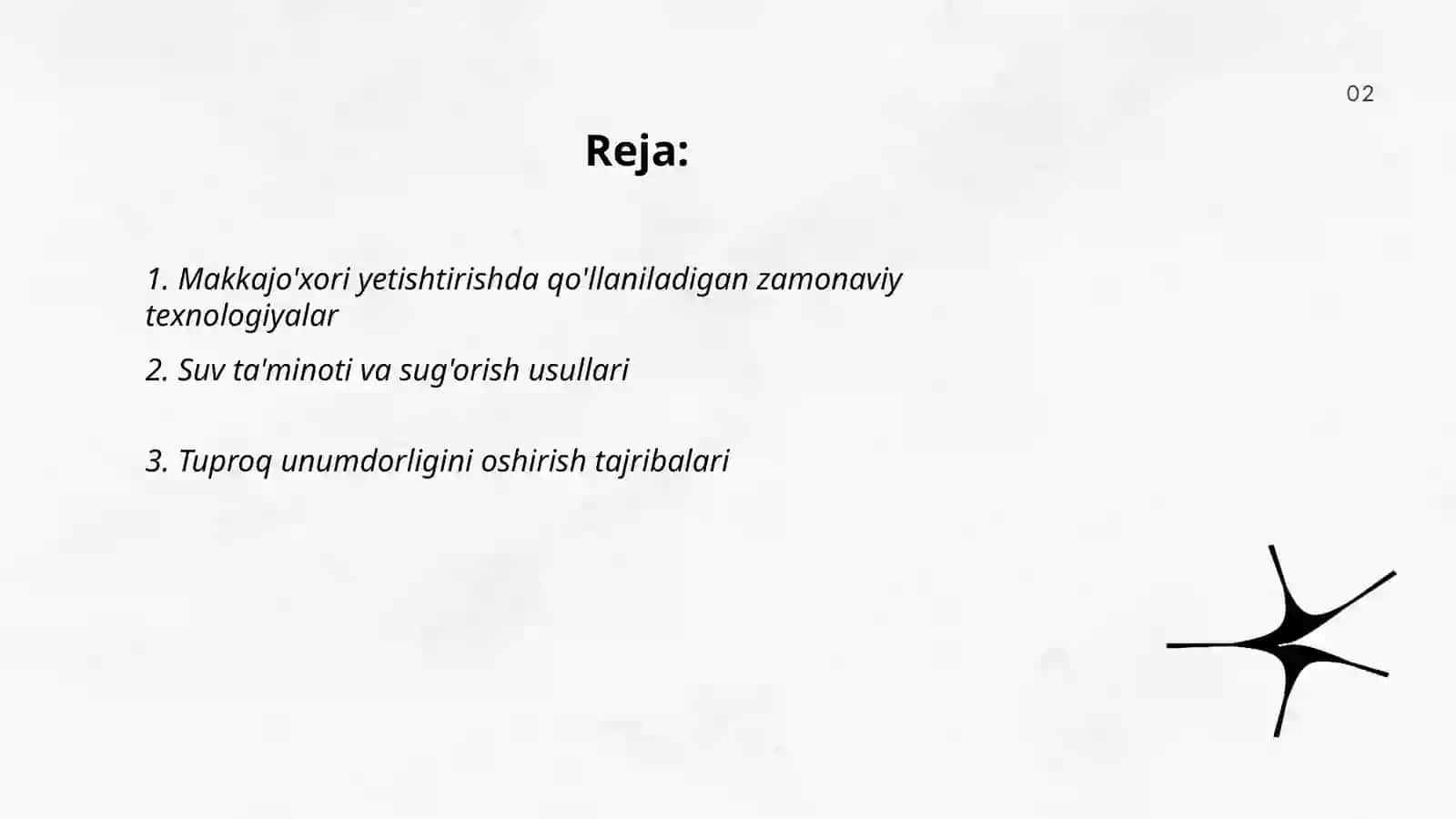Makkajo'xori yetishtirish boʻyicha xorijiy mamlakatlar tajribasi 2