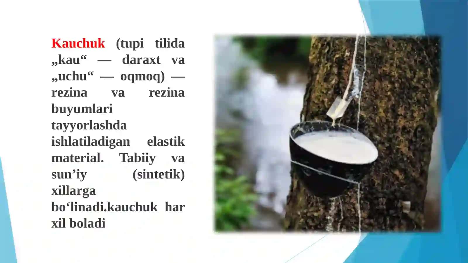 Kauchuk va rezina 2