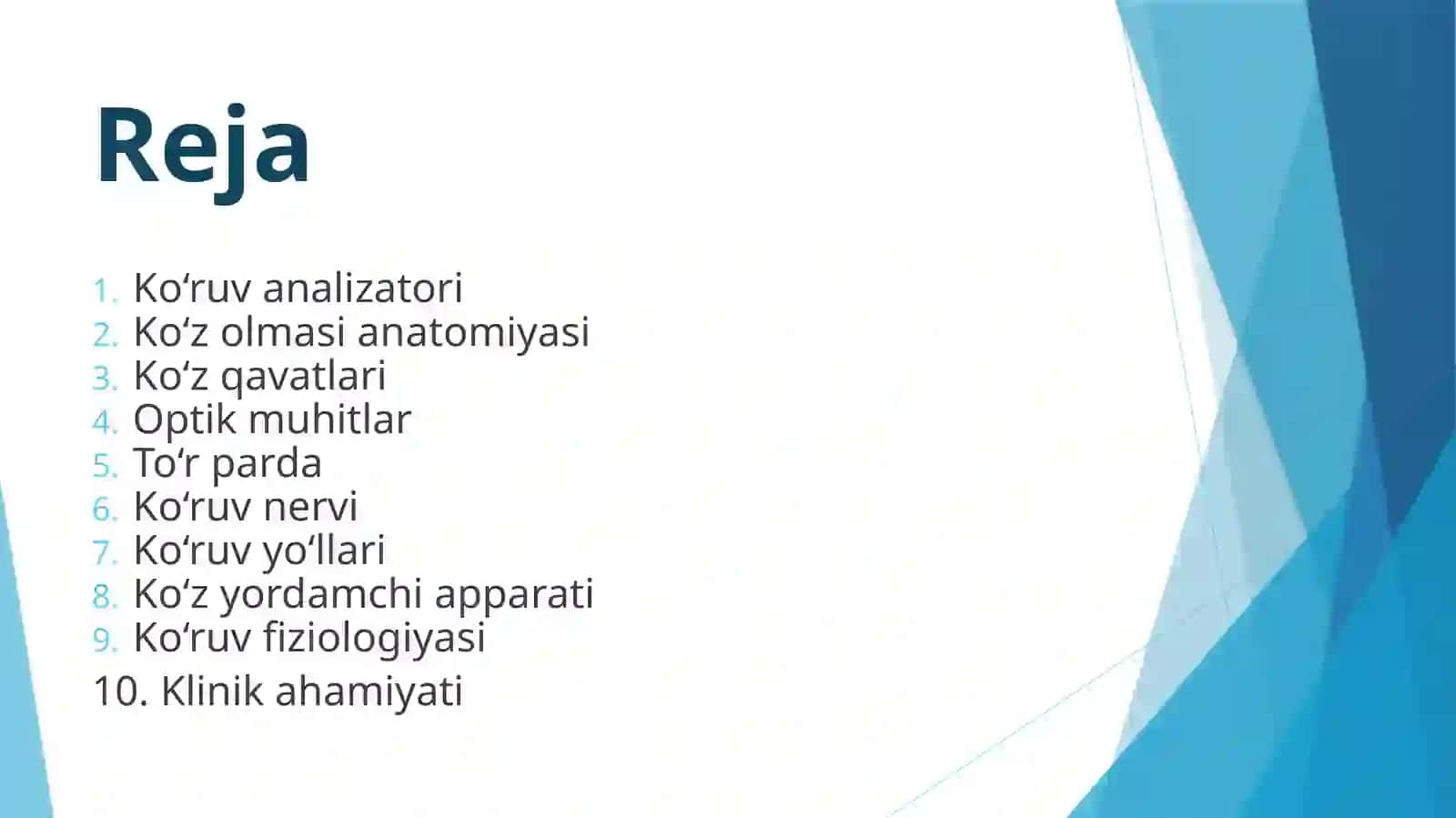 KO‘RUV A’ZOSI: KLINIK ANATOMIYASI VA FUNKSIYASI 2