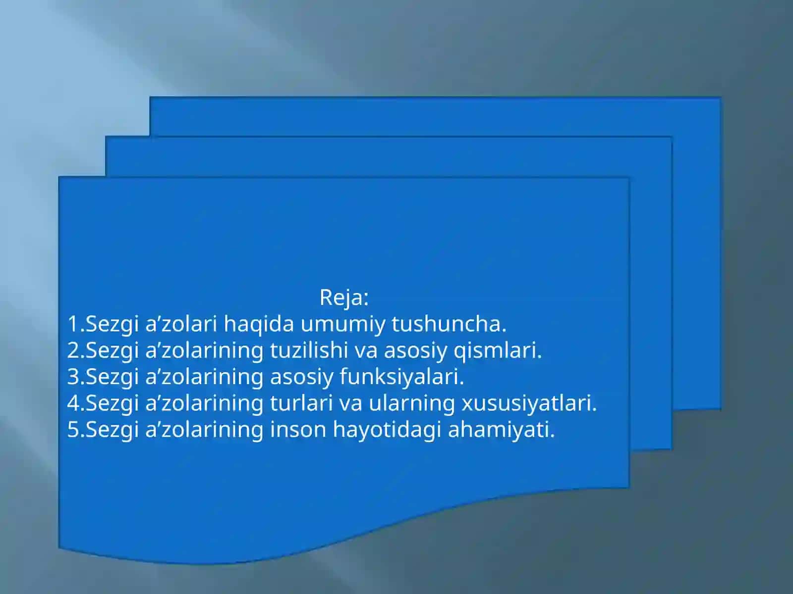 SEZGI A’ZOLARINING MORFOFUNKSIONAL XUSUSIYATLARI 2