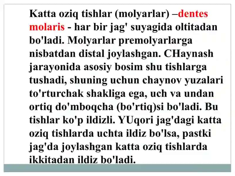 Doimiy katta oziq tishlarning anatomiyasi:umumiy tasnifi,chiqish vaqti,har bir tish tuzilishi xususiyatlari, o`zaro farqlari va anomaliyalari.Toj qismining tasnifi: yuzalari, reylefi, shakli, o`lchamlari.Toj bo`shlig`i va ildiz kanallari. 2
