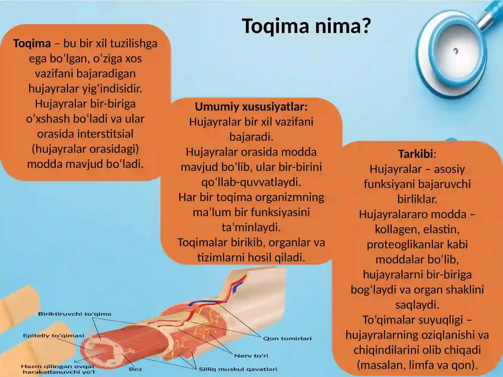 Toqimalar 2