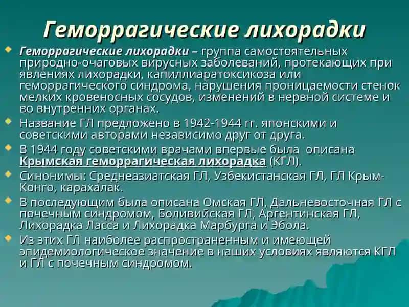 ЭПИДЕМИОЛОГИЯ И ПРОФИЛАКТИКА И ЭПИДЕМИОЛОГИЧЕСКИЙ НАДЗОР ГЕМОРРАГИЧЕСКИХ ЛИХОРАДОК 2