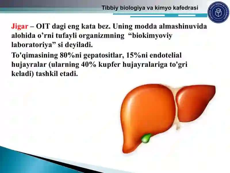 Jigar (OIT) 2