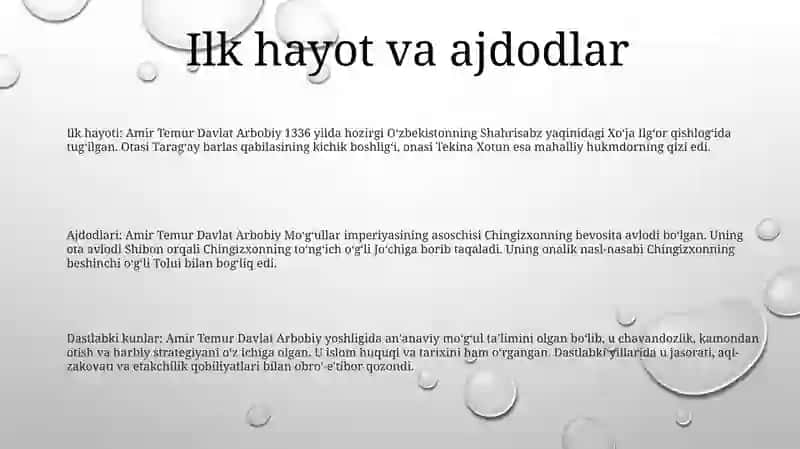 Amir Temur Davlat Arbobi 2