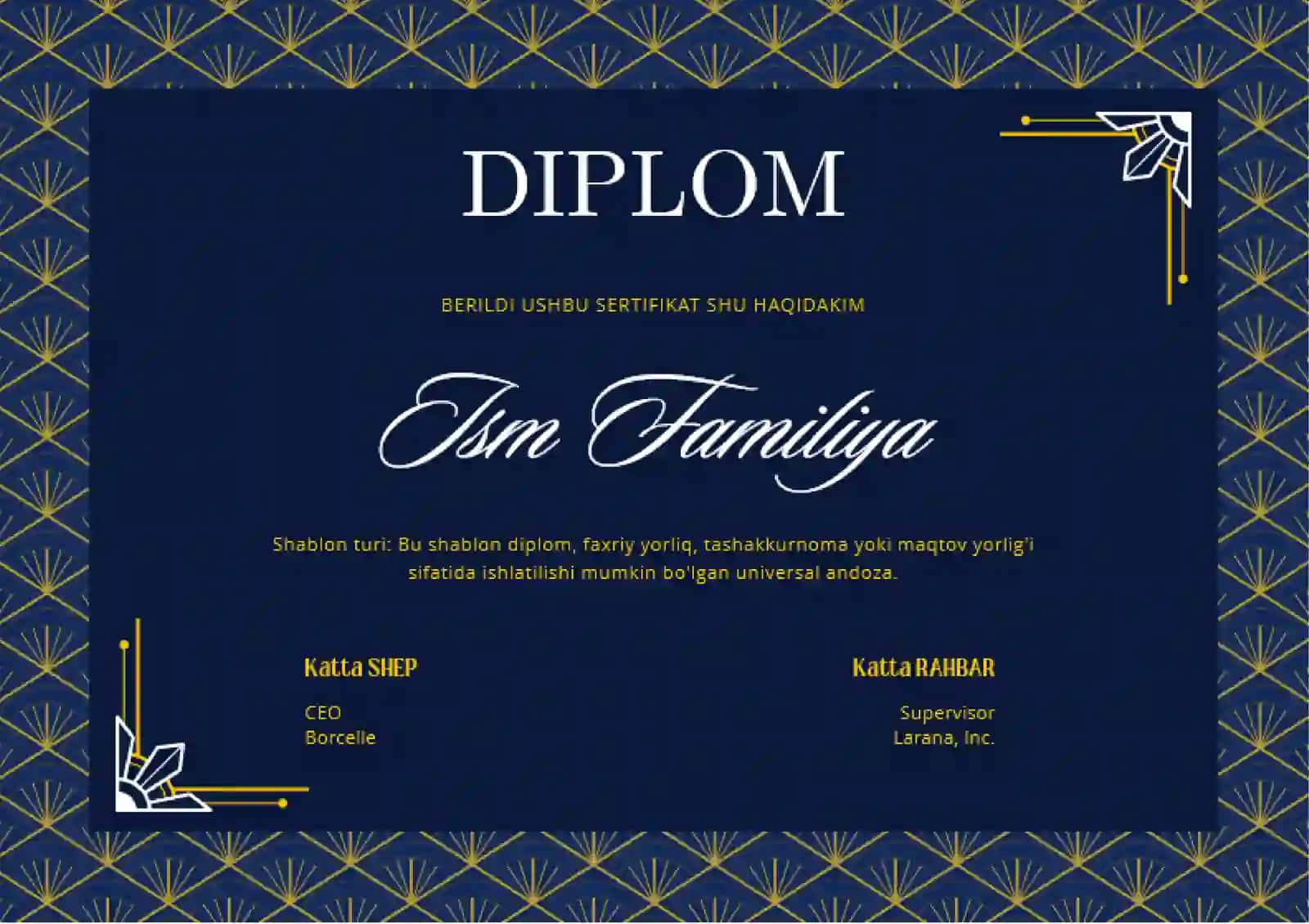 DIPLOM 2