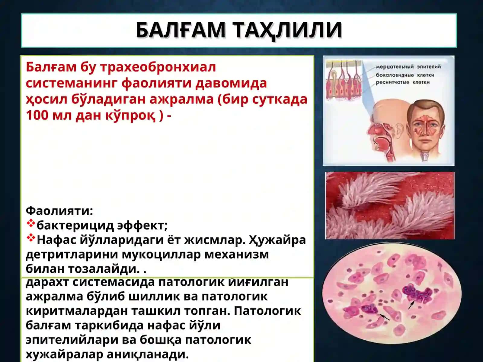 BALG'AM TAHLILI 2