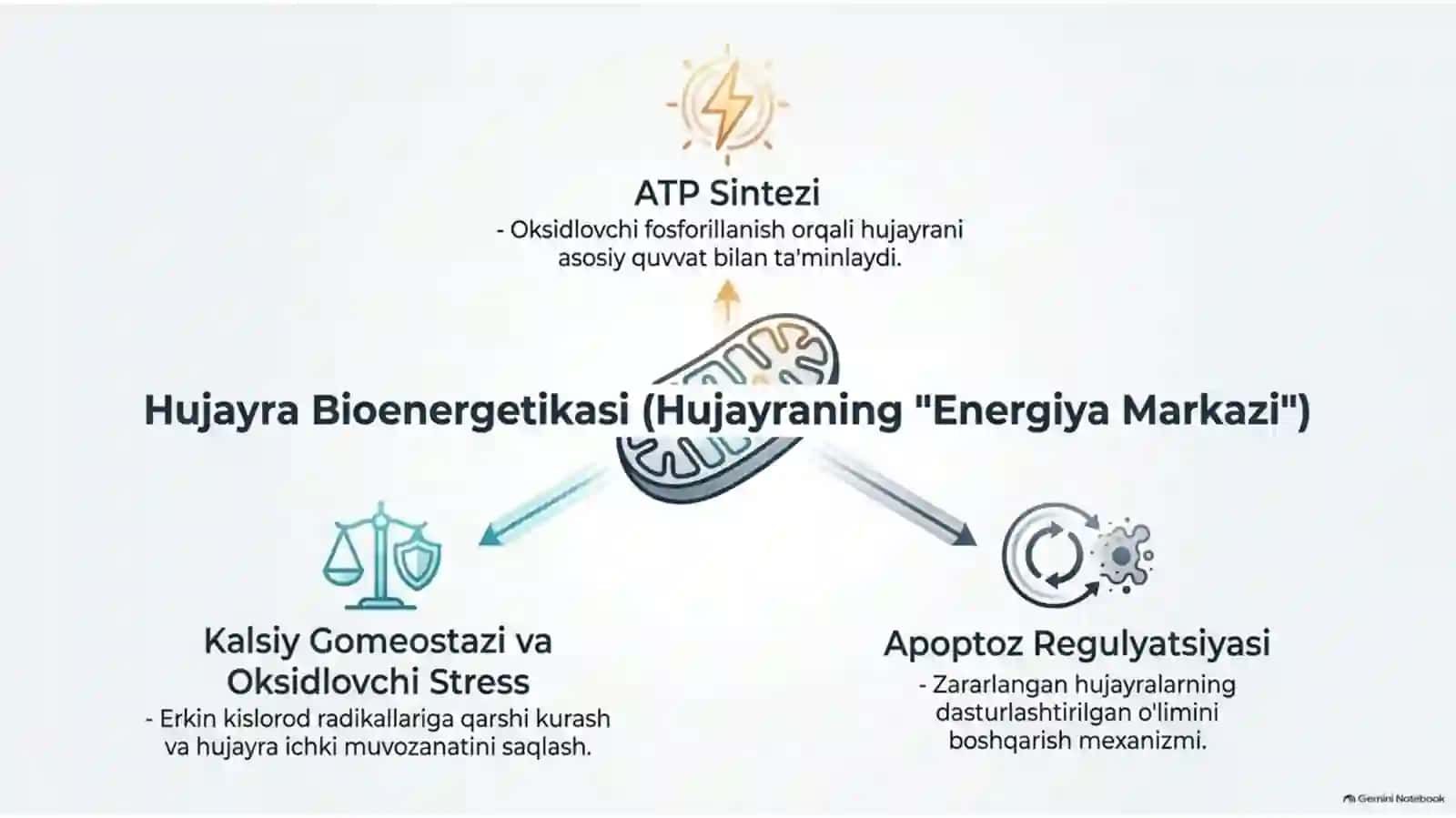 Mitoxondrial kasalliklar va gipoenergetik holatlar — 15 slayd 2