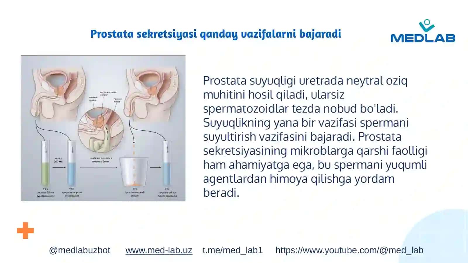 Prostatasekretsiyasi 2