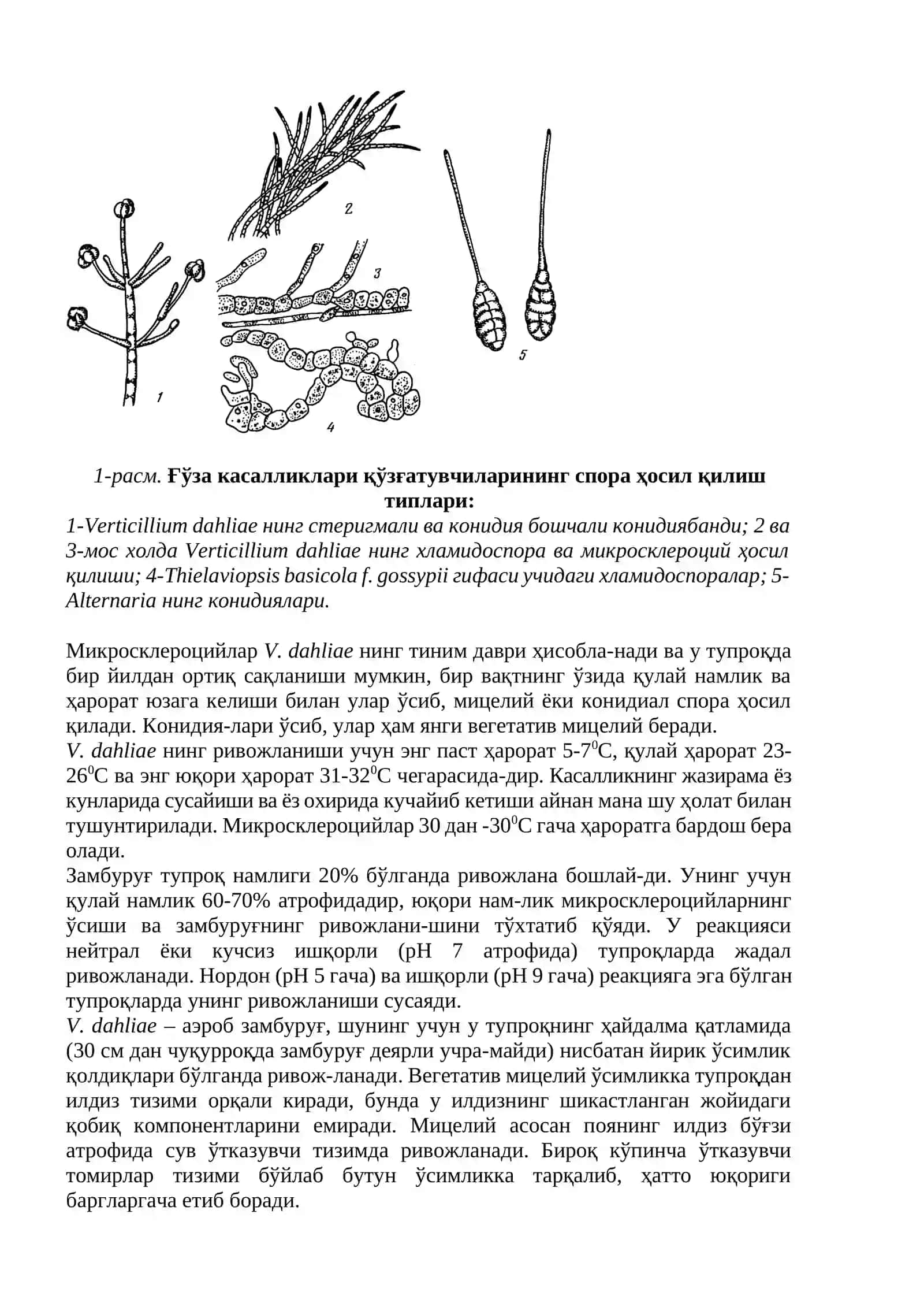 ҒЎЗА КАСАЛЛИКЛАРИ 2