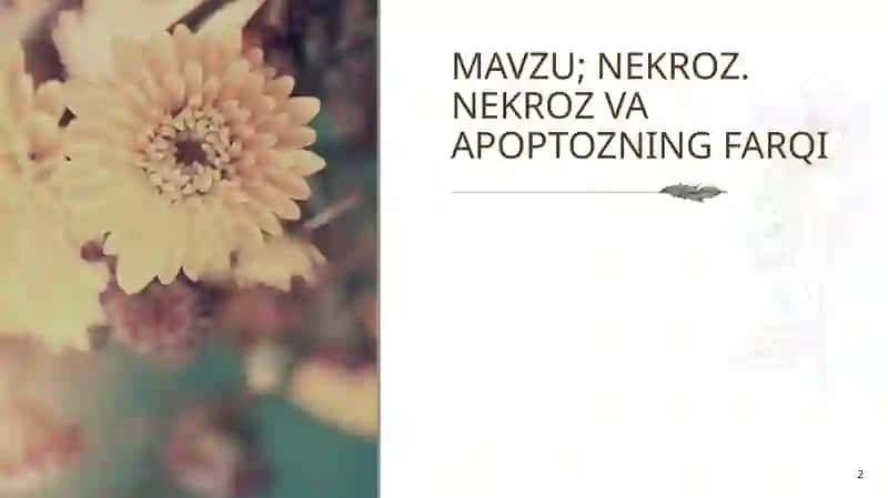 Nekroz. Nekroz va Apoptozning Farqi 2
