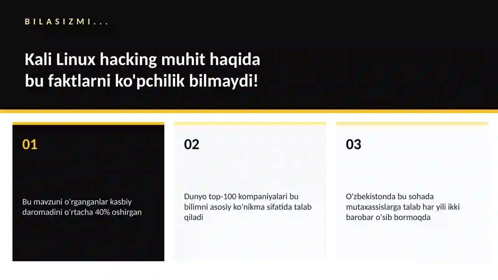 Kali Linux hacking muhit 2