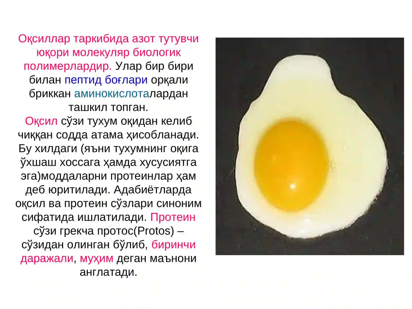 Оқсиллар ёки Протеинлар 2