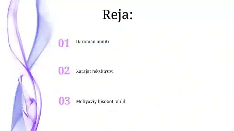 Daromadlar va xarajatlar hamda moliyaviy natijalar auditi 2