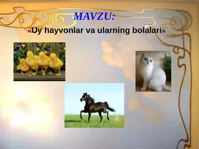 Uy hayvonlar va ularning bolalari 2
