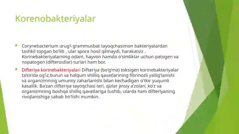Korenobakteriyalar 2