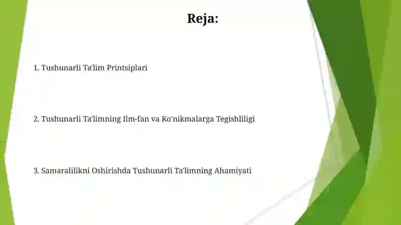 Tushunarli Ta'lim Printsiplari 2