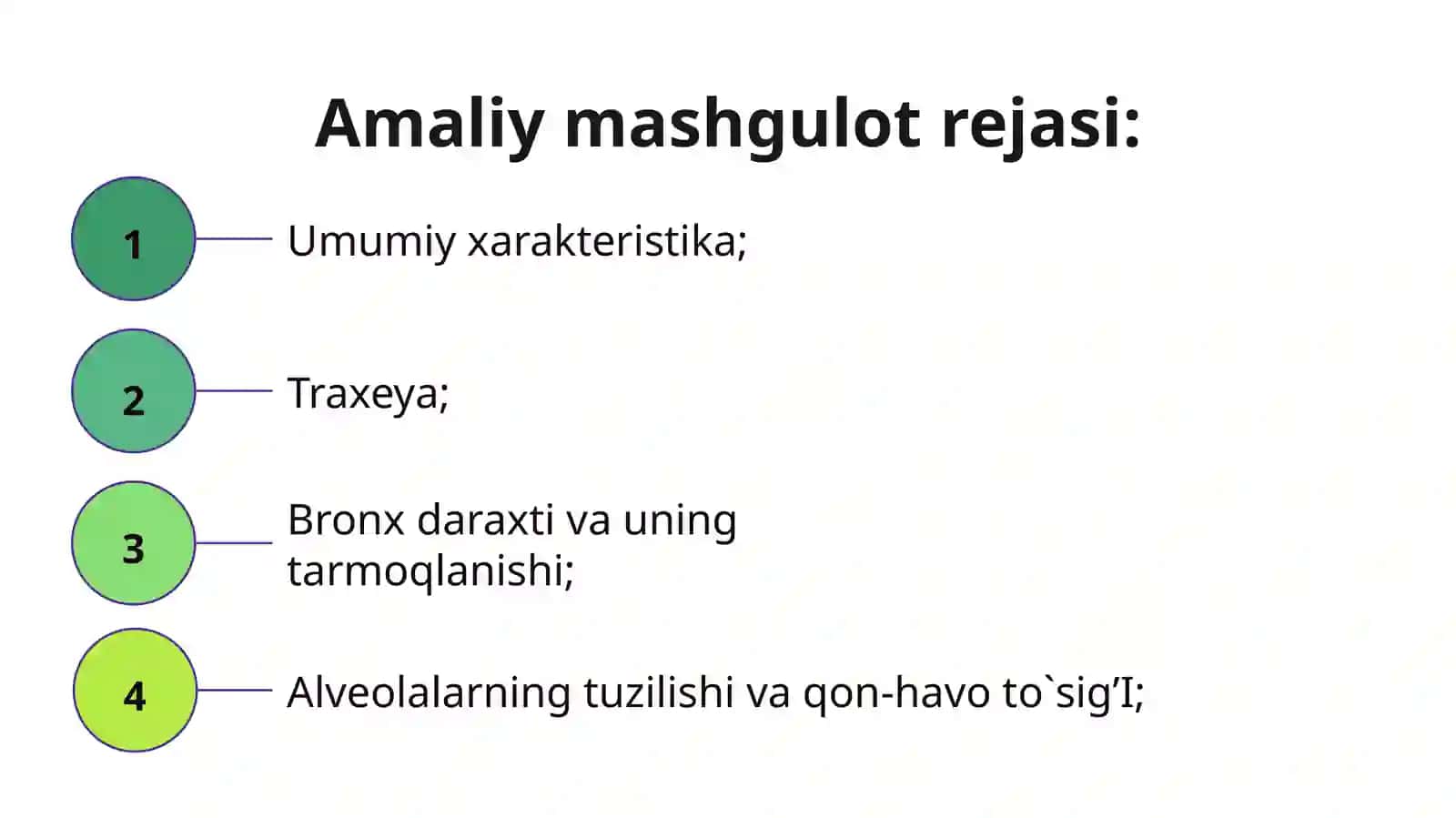 Nafas olish sistemasi 2