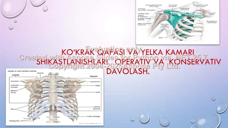 KO‘KRAK QAFASI VA YELKA KAMARI SHIKASTLANISHLARI. OPERATIV VA KONSERVATIV DAVOLASH 2