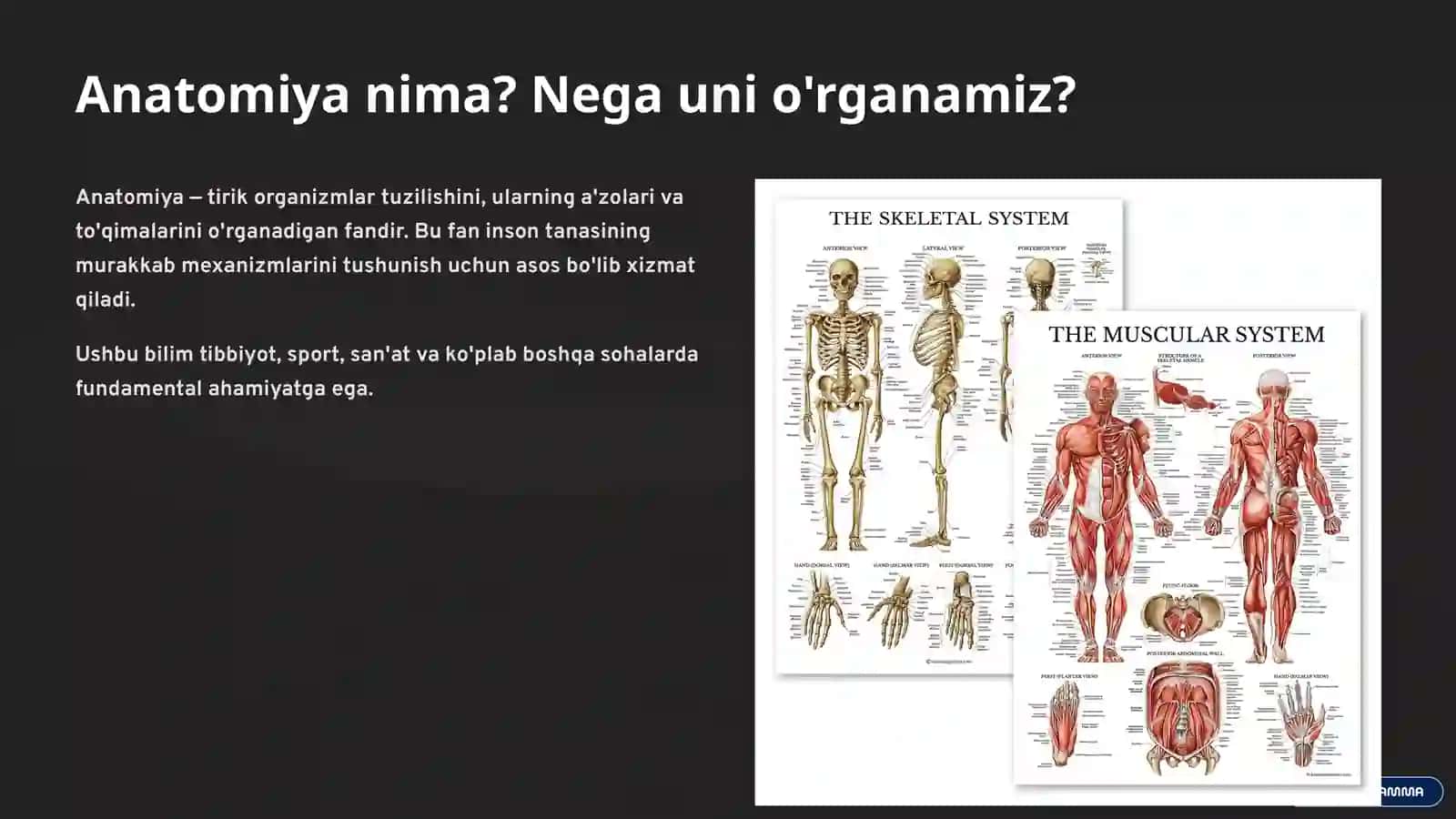 Anatomiyani o'rganish usullari 2