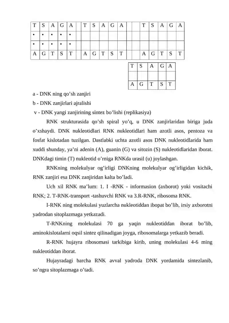 DNK VA RNK TUZILISHI VA ULARNING SINTEZINI O’RGANISH 2