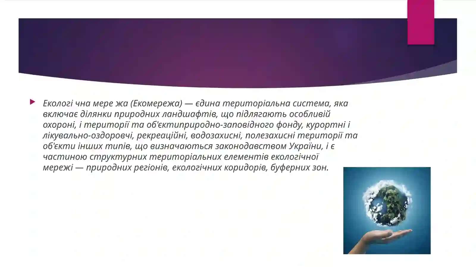 Екомережі 2