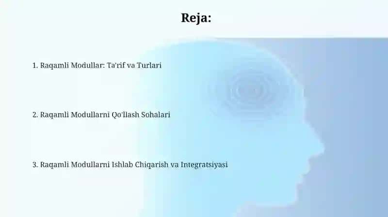 Raqamli Modullar Standartlari 2