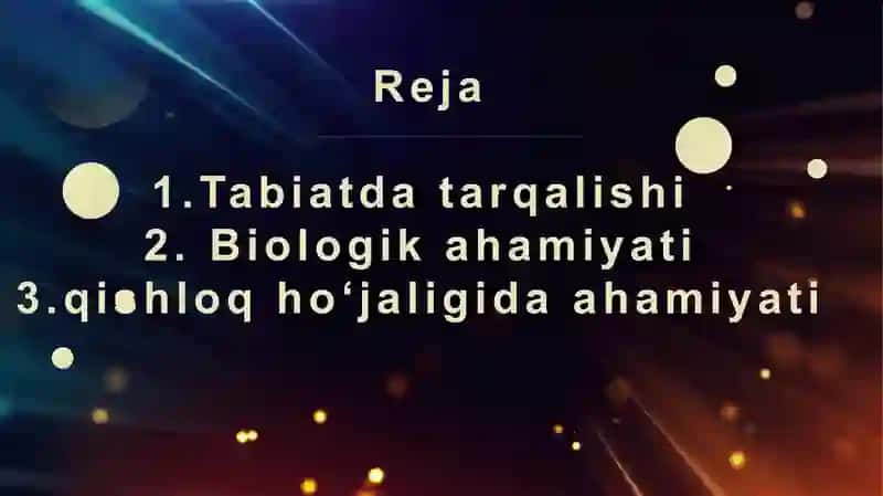 Bacillus subtilis va Bacillus polymyxa 2