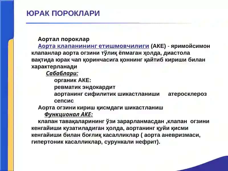 YURAK POROKLARI 2