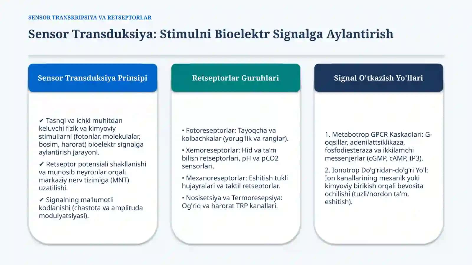 Sensor tizimlar faoliyatining biokimyoviy asoslari — 15 slayd 2