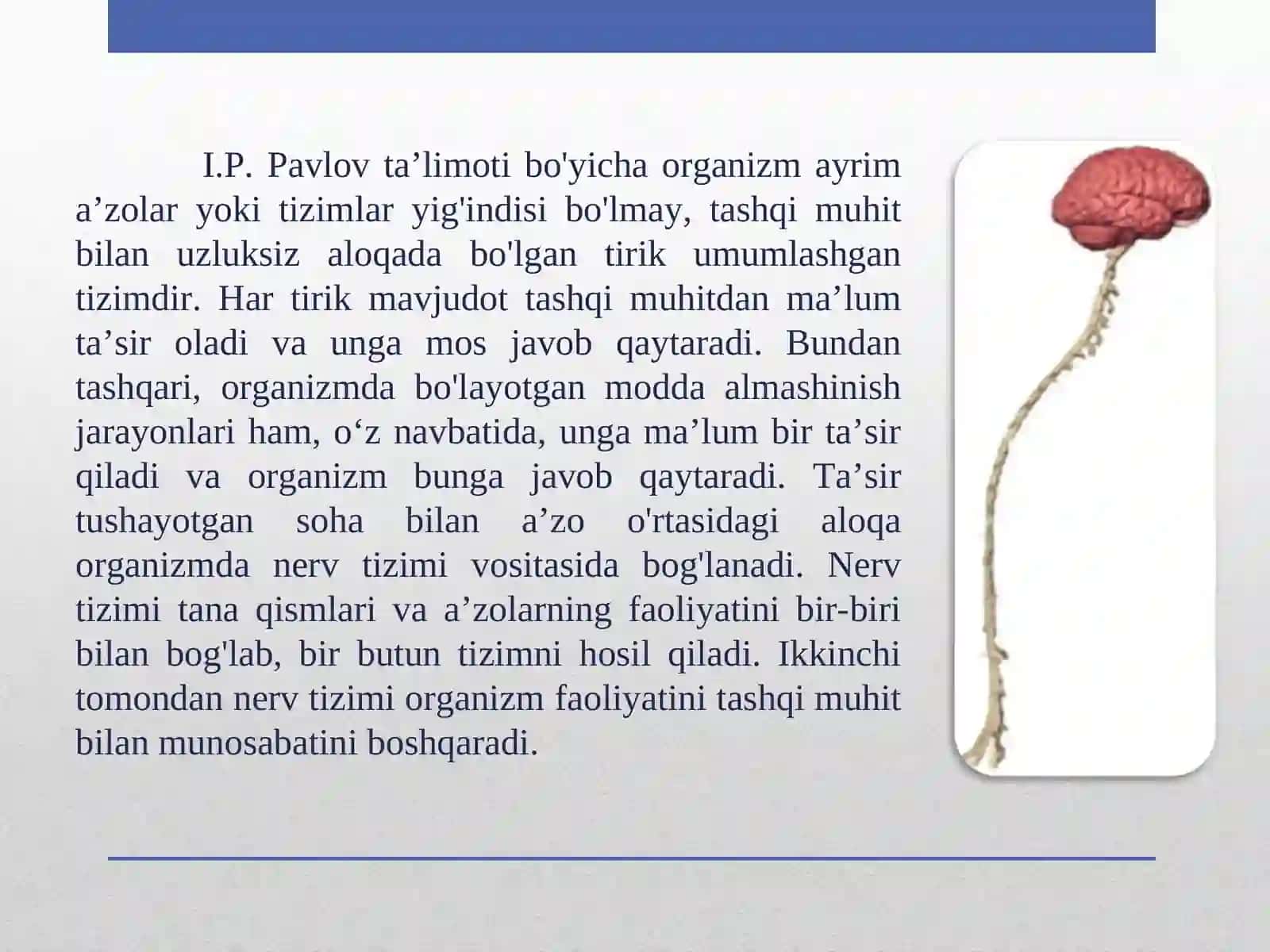 Neyronlar 2