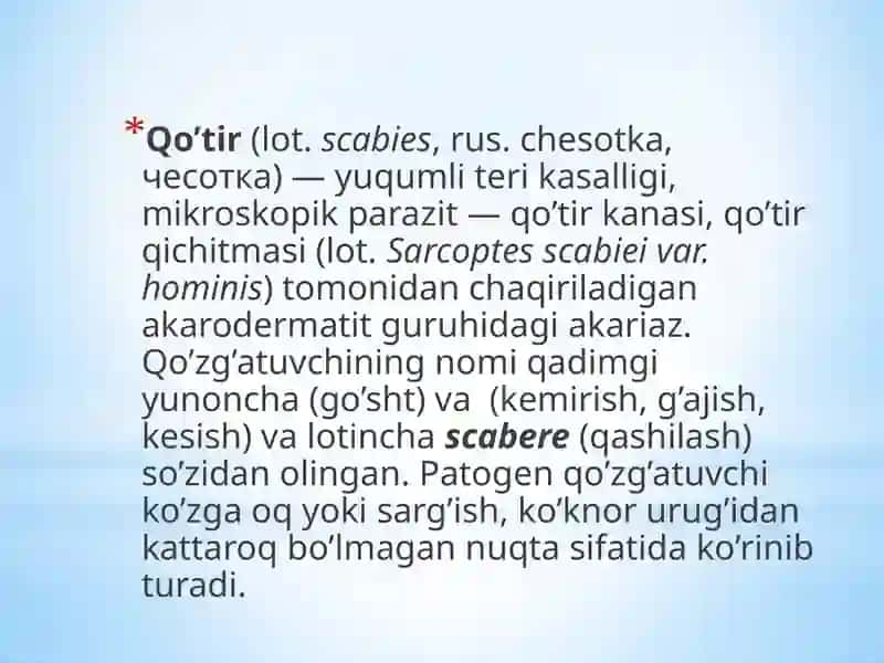Qo’tir kanasi 2