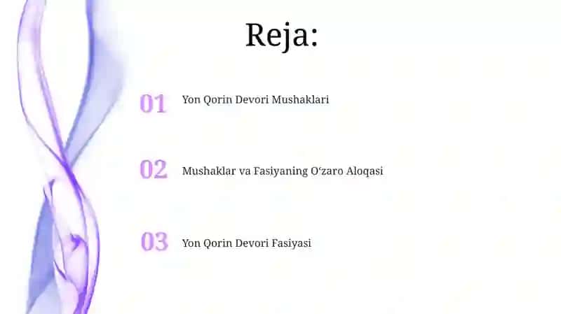 Qorinning yon devori muskullari va fassiyalari 2