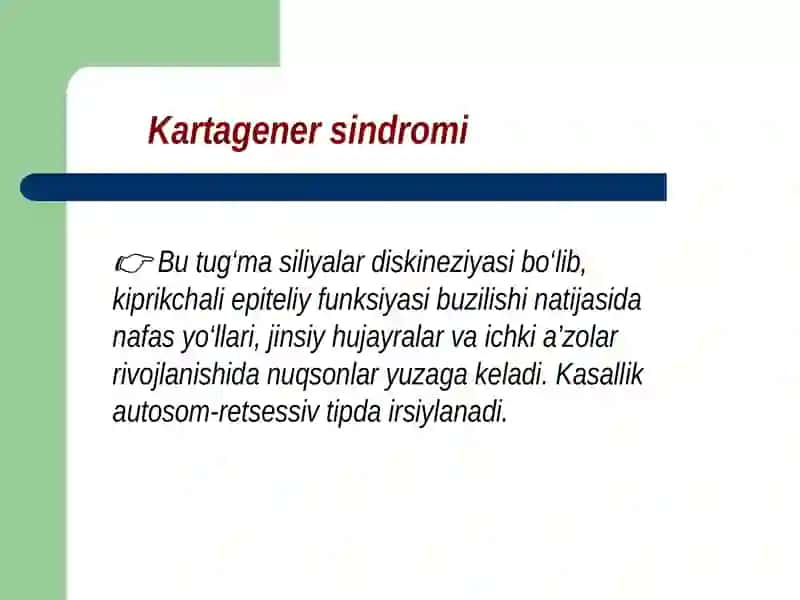 Kartogenersindromi 2