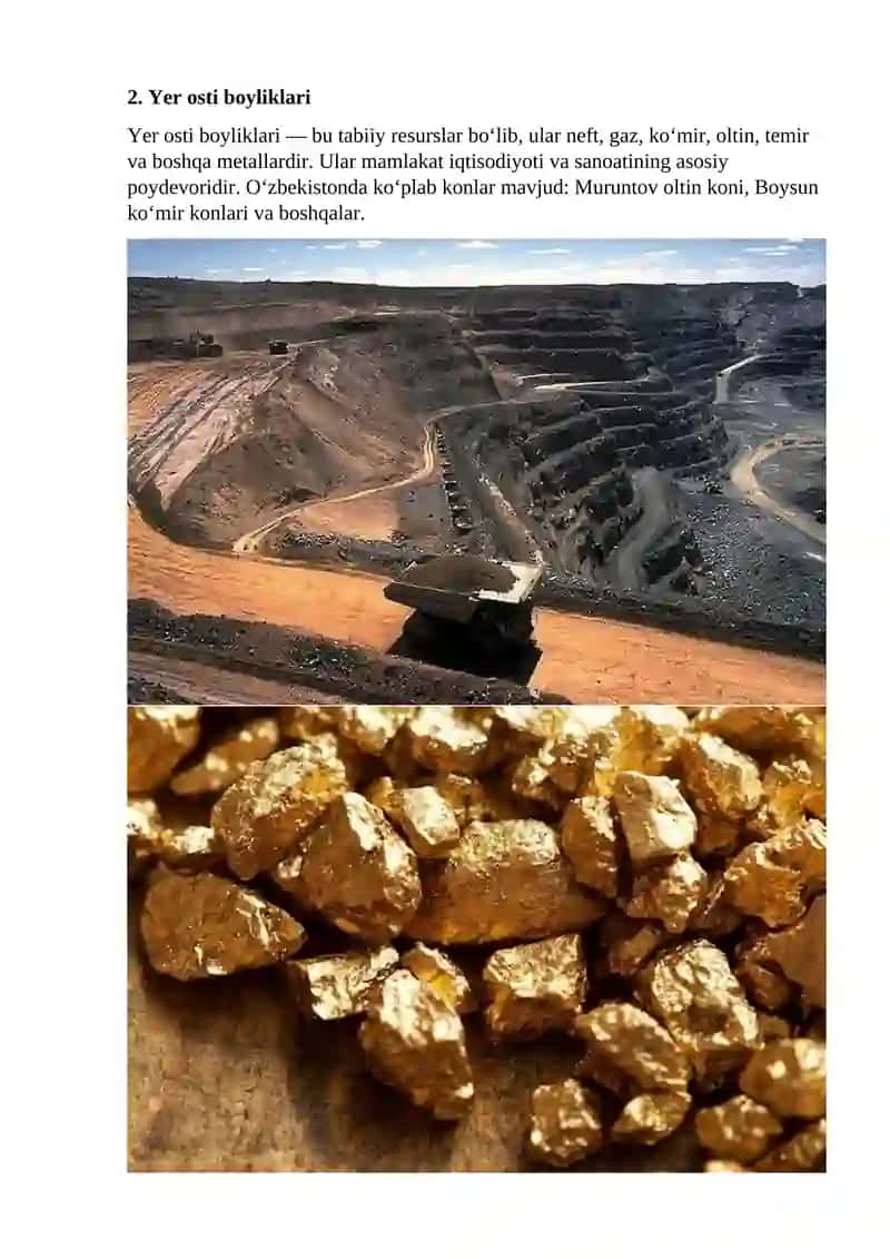Yer osti boyliklari 2