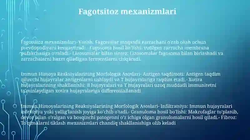 Immun Himoya Reaksiyalarining Morfologik Asoslari 2