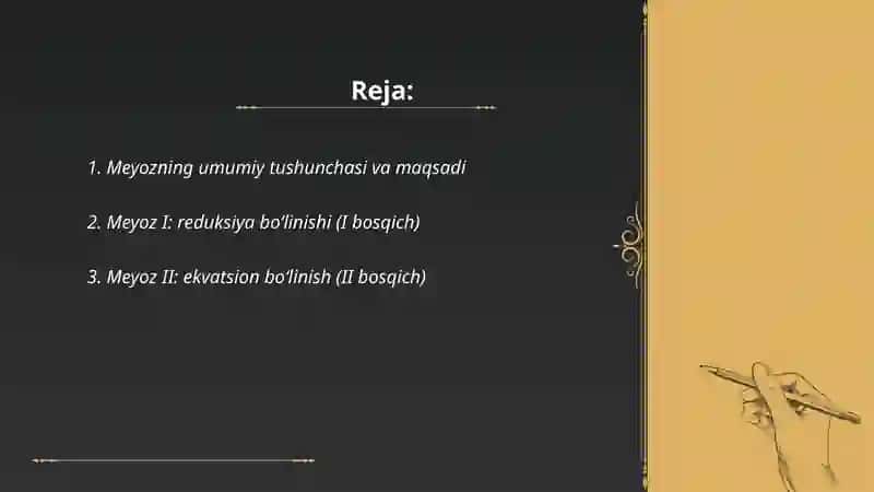 Meyoz 2