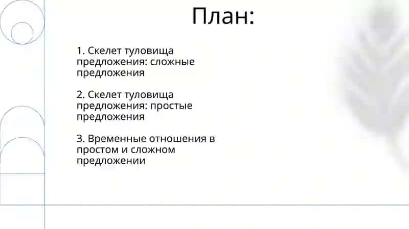 Скелет туловища выражение временных отношений в простом и сложном предложении 2
