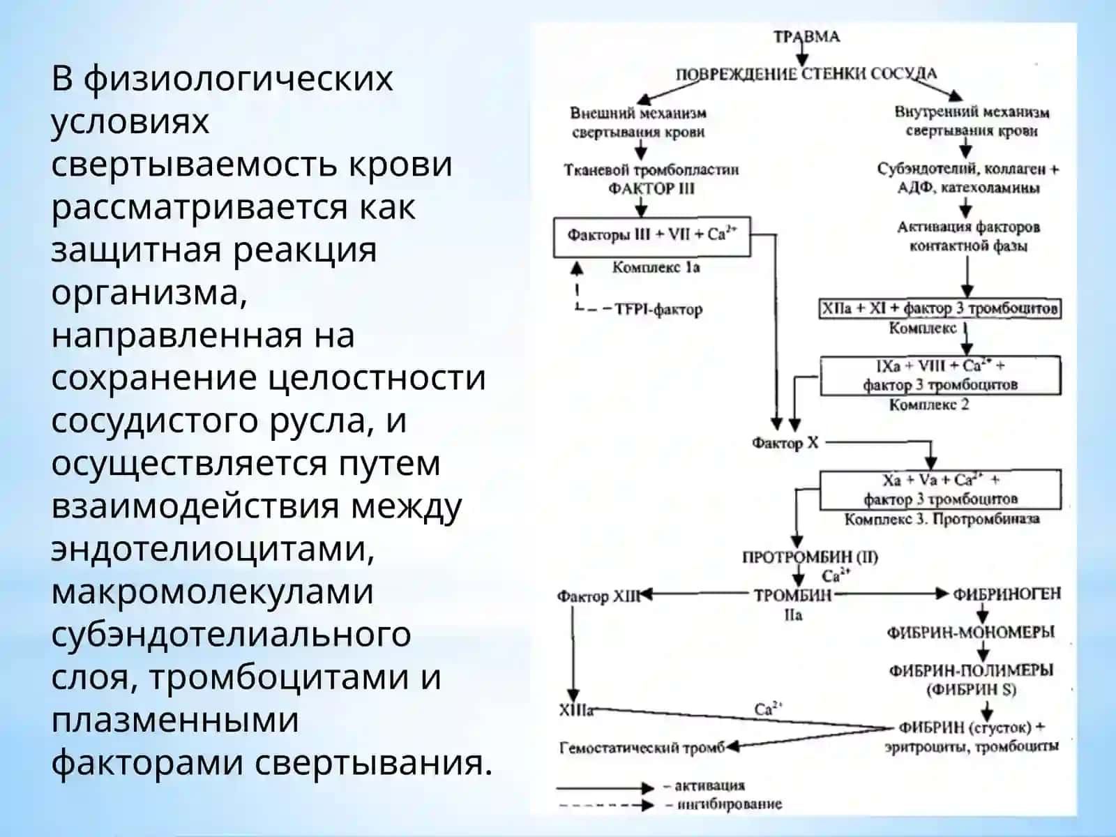 ДВС-синдром 2