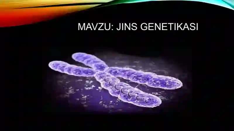 Jins genetikasi 2