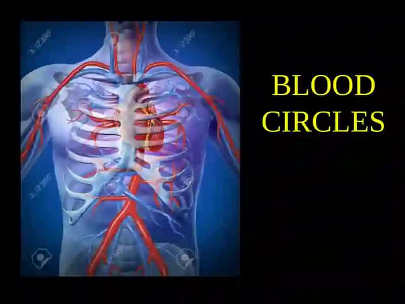 BLOOD CIRCLES 2