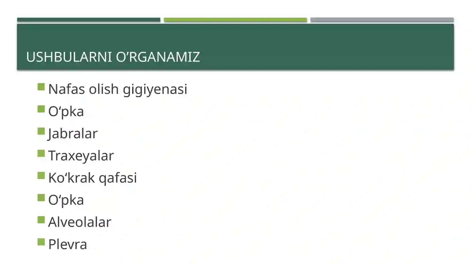 ODAM VA HAYVONLARNING NAFAS OLISHI 2