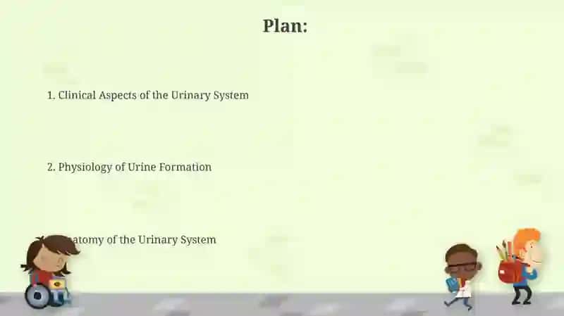 Urinary system 2