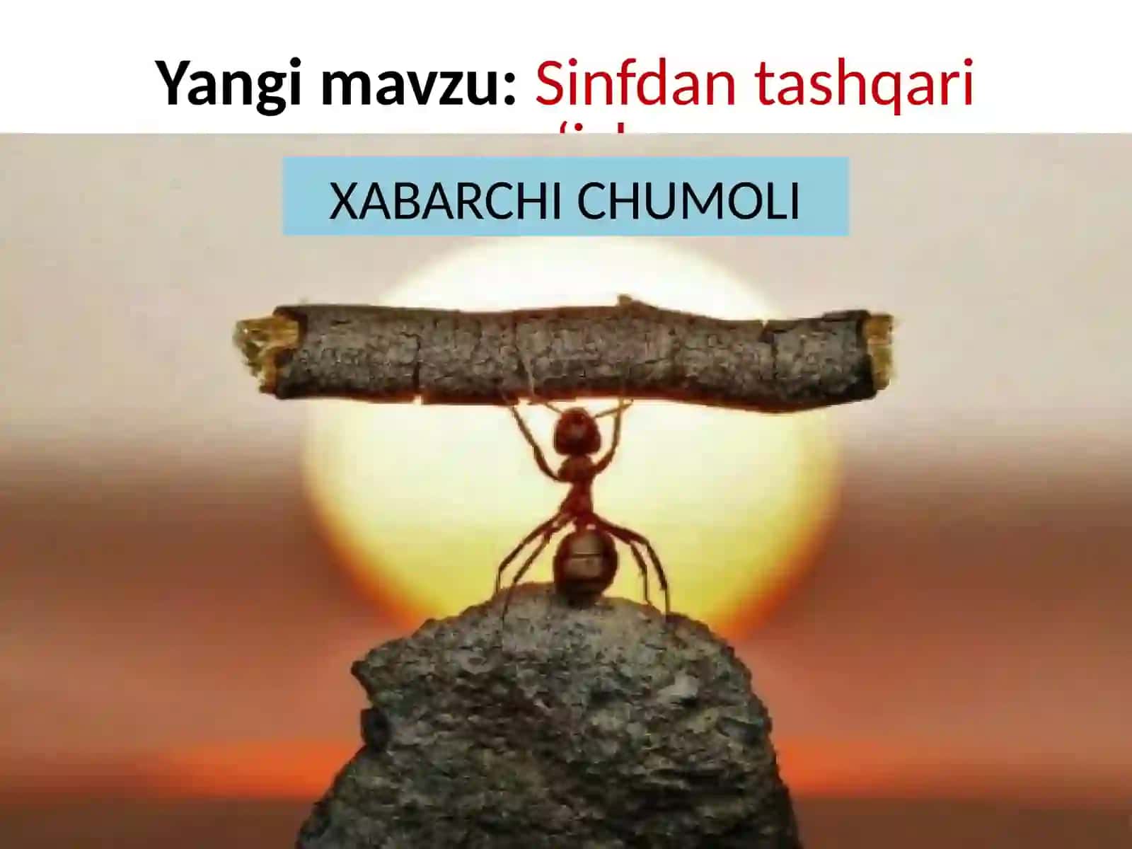 Sinfdantashqarioq‘ish XABARCHI CHUMOLI 2