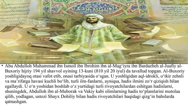 İmmunokompetent hüceyrələr, onların funksiyaları 2