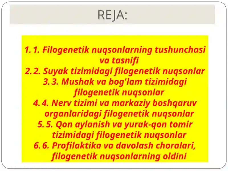 Filogenetik nuqsonlar 2