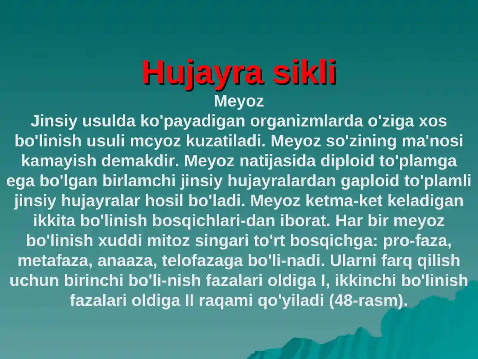 Hujayra sikli 2