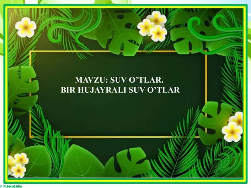 Bir hujayrali suv o’tlar 2